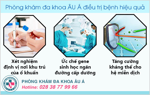 Bệnh mụn rộp sinh dục được hỗ trợ điều trị như thế nào?