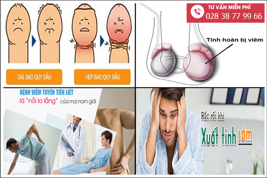 
						Các Bệnh Về Dương Vật Thường Gặp