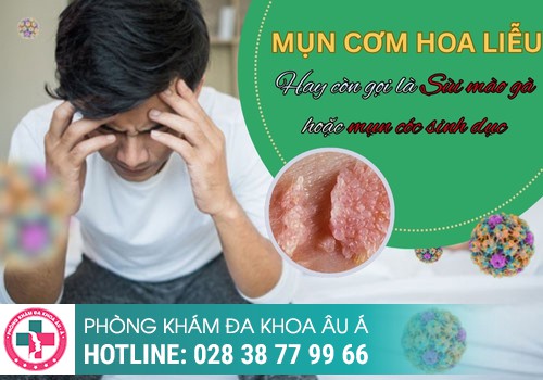 
						Mụn Cơm Hoa Liễu Và Những Thông Tin Cần Biết