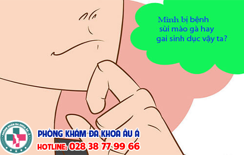 
						Gai Sinh Dục Khác Sùi Mào Gà Như Thế Nào?