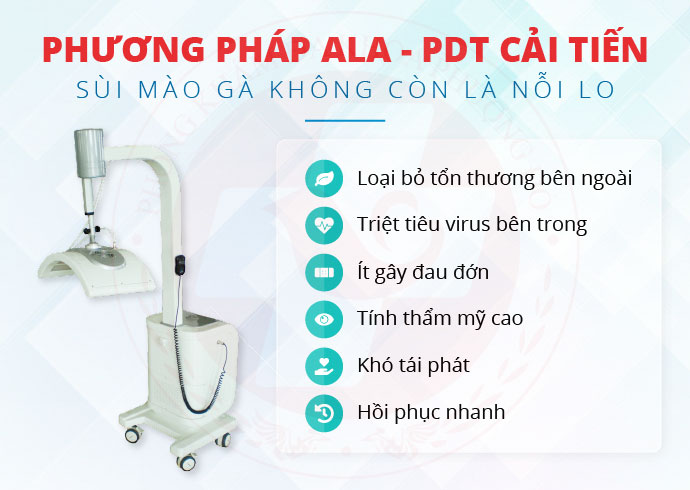 sùi mào gà sùi mào gà