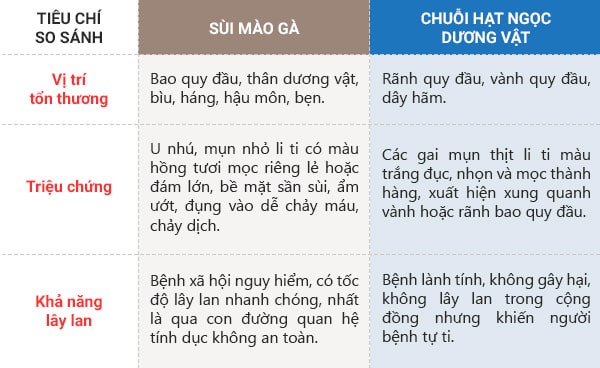 Tất cả những thông tin liên quan đến chuỗi hạt ngọc dương vật