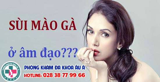 
						Sùi Mào Gà Ở Âm Hộ