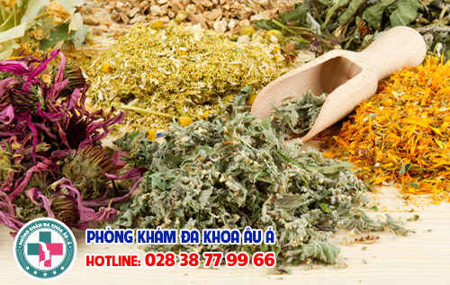 
						Cách Trị Bệnh Sùi Mào Gà Bằng Thuốc Nam