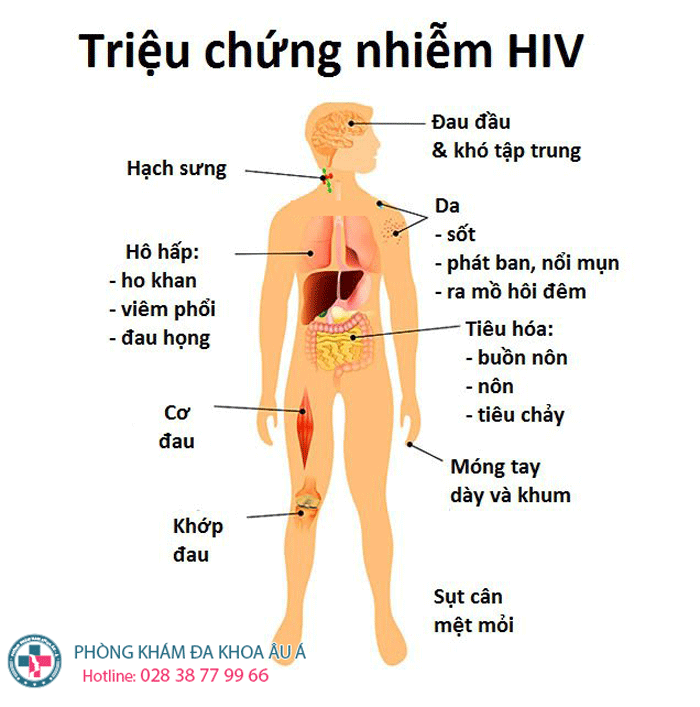 
						HIV Và Những Thông Tin Cần Phải Biết