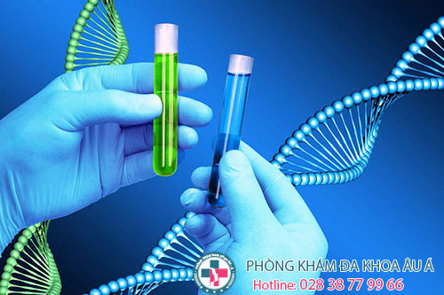 
						Kiểm Tra Và Điều Trị Sớm Sùi Mào Gà Ở Lưỡi Với Gói Combo Chỉ 200k